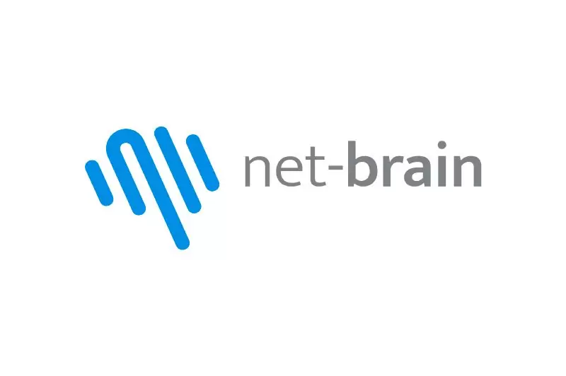 net-brain IT Consulting